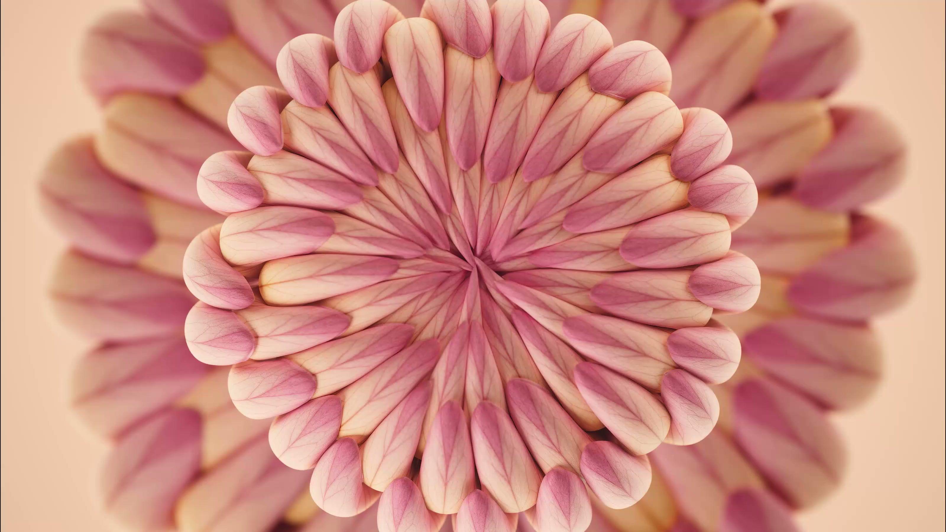 Bloom Drift 01